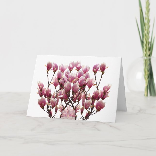 Carte Fleur de printemps rose florissante Magnolias (Devant)
