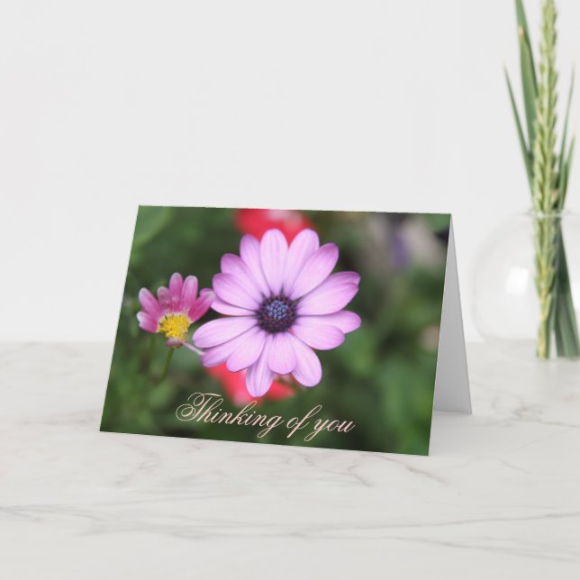 Carte Fleur de type marguerite rose (Devant)