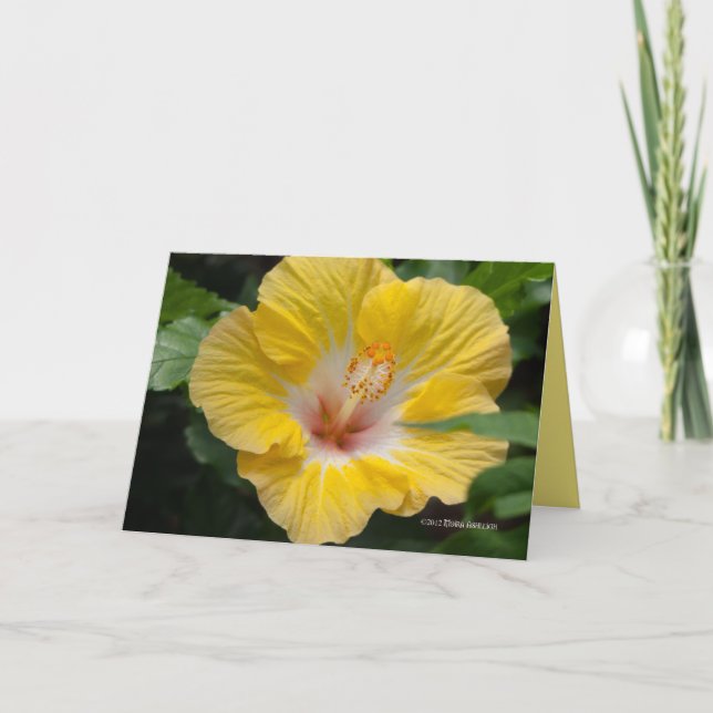 Carte Fleur d'Hibiscus jaune (Devant)