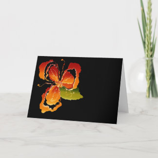 Carte fleur d'orange