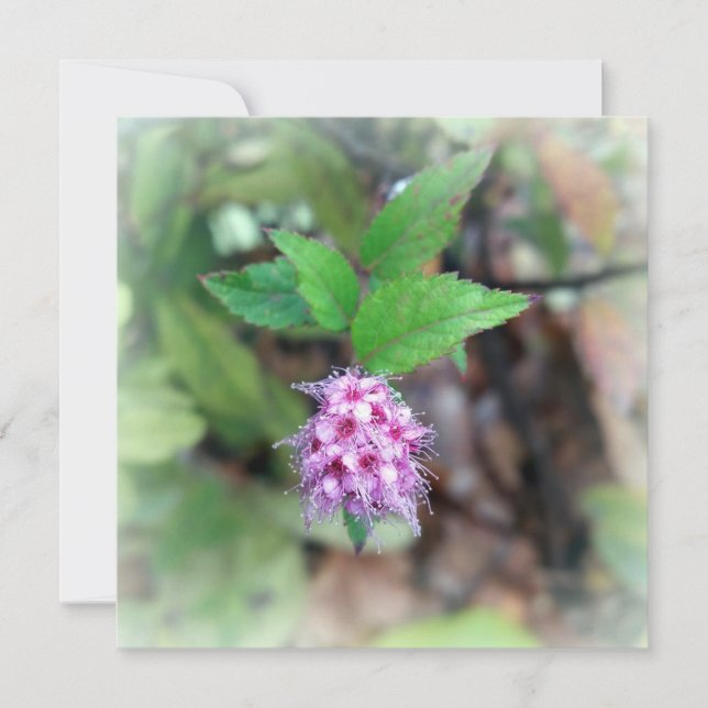 Carte Fleur en automne (Devant)