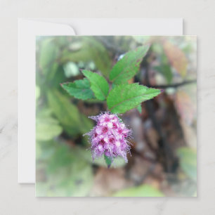 Carte Fleur en automne