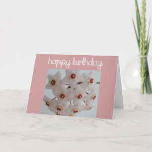 Carte Fleur Hoya Anniversaire