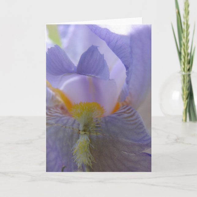 Carte Fleur Iris (Devant)