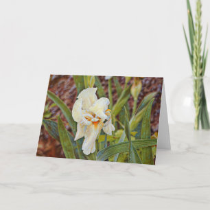 Carte Fleur Iris Wild