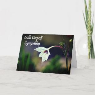 Carte Fleur Jardin de Gladiolus Blanc avec une profonde