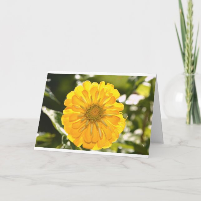 Carte Fleur jaune fleurie jaune marguerite jaune (Devant)