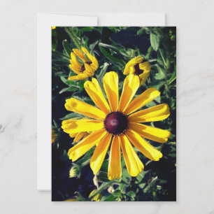 Carte Fleur Jaune Suzanne aux yeux noirs