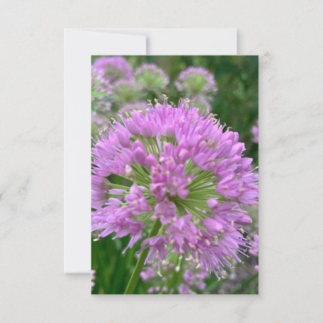 Carte "Fleur lavande légère" en Z (Devant)