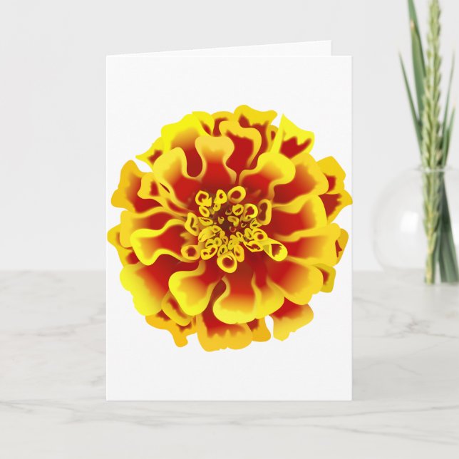Carte Fleur Marigold (Devant)