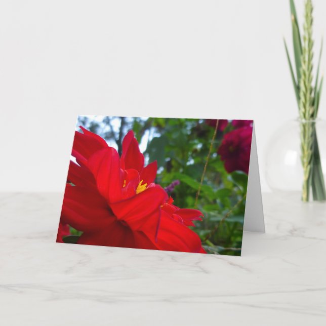 Carte Fleur rouge avec centre jaune (Devant)