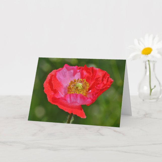 Carte Fleur Rouge Fleur Art Fleur Rouge Far (Petite plante)