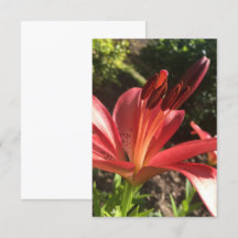 Carte "Fleur Rouge Solide" en Z