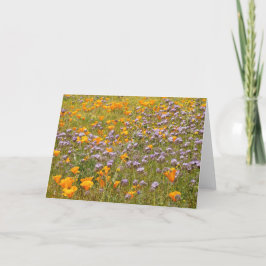Carte Fleur sauvage