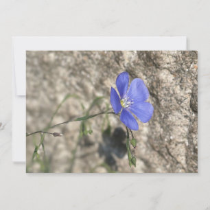Carte Fleur sauvage