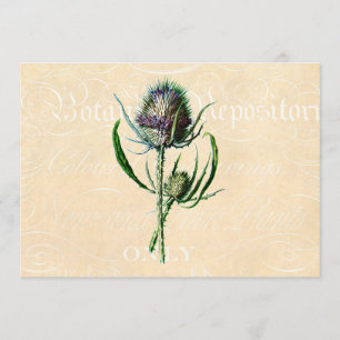Carte Fleur sauvage d'antiquité de chardon d'écossais du