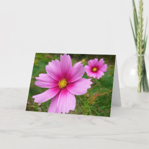Carte Fleur sauvage de fleurs Cosmos roses