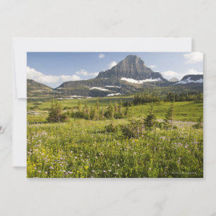 Carte Fleur sauvage Meadow