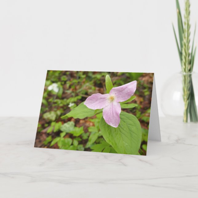Carte Fleur Trillium Rose (Devant)