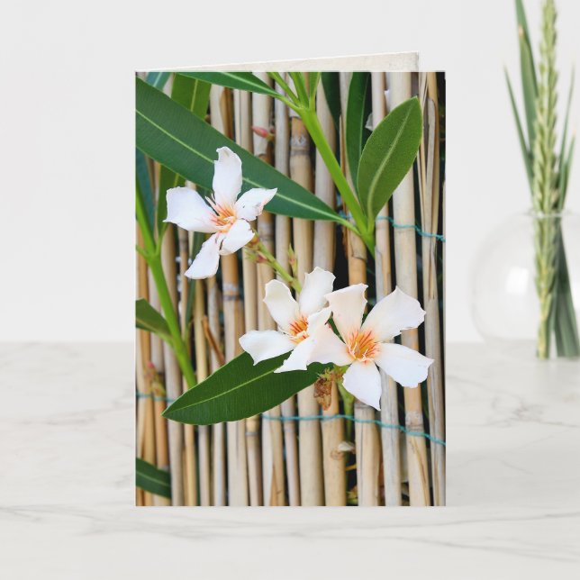 Carte Fleur Vinca sur la clôture en bambou Sympathy (Devant)