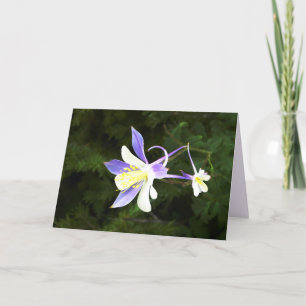 Carte Fleur violette et blanche, Florale, blanche à l'in