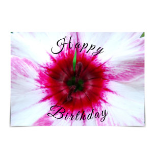 Carte Fleur Whimsical Rose et Blanc Dianthus