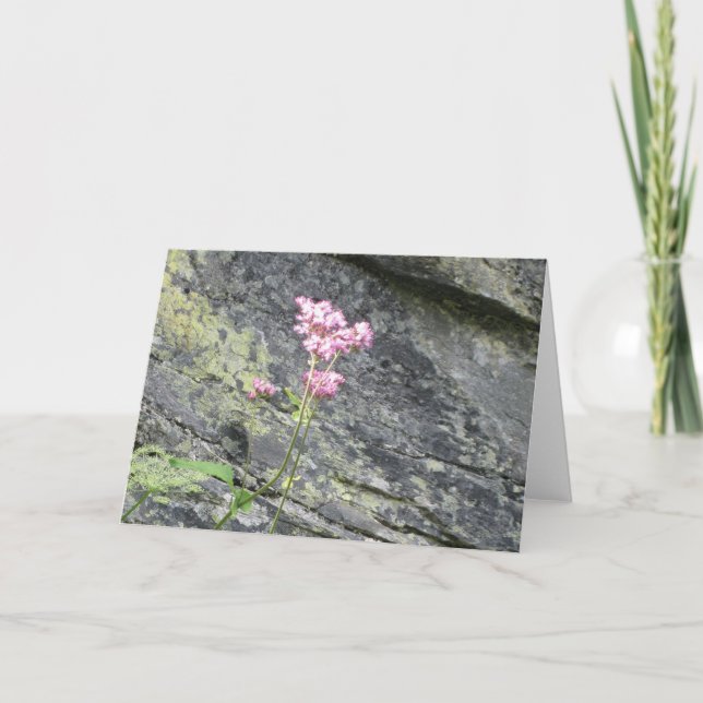 Carte Fleurs alpines (Devant)