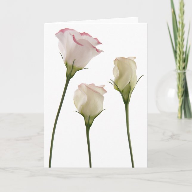 Carte fleurs blanches de lisianthus, trio (Devant)