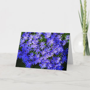 Carte Fleurs bleues à la marguerite Nature Photographie
