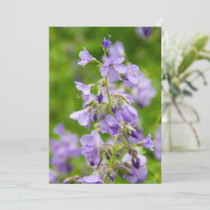 Carte Fleurs bleues délicates sur un champ vert dans un