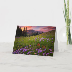 Carte Fleurs Colorado Fleur sauvage violet