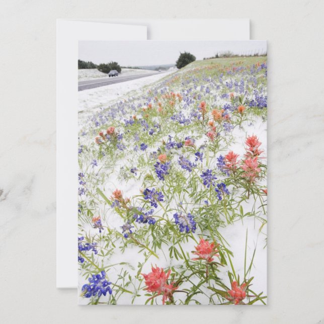 Carte Fleurs congelées (Devant)