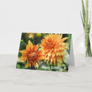 Carte Fleurs dahlia orange et jaune à Wisley Gardens
