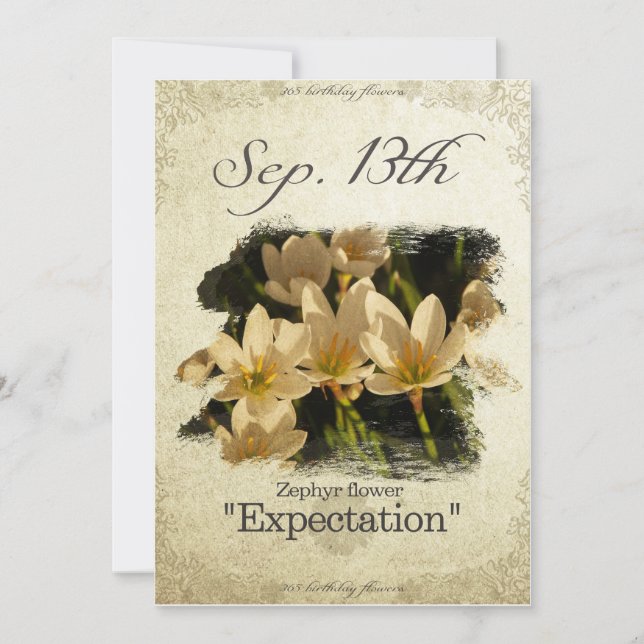 Carte Fleurs d'anniversaire le 13 septembre "Fleur Zephy (Devant)