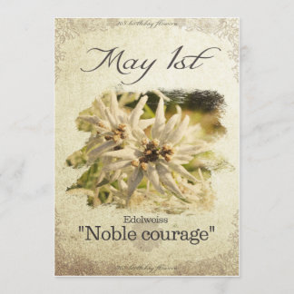 Carte Fleurs d'anniversaire le 1er mai "Edelweiss"