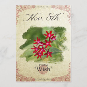 Carte Fleurs d'anniversaire le 5 novembre "Pentas"