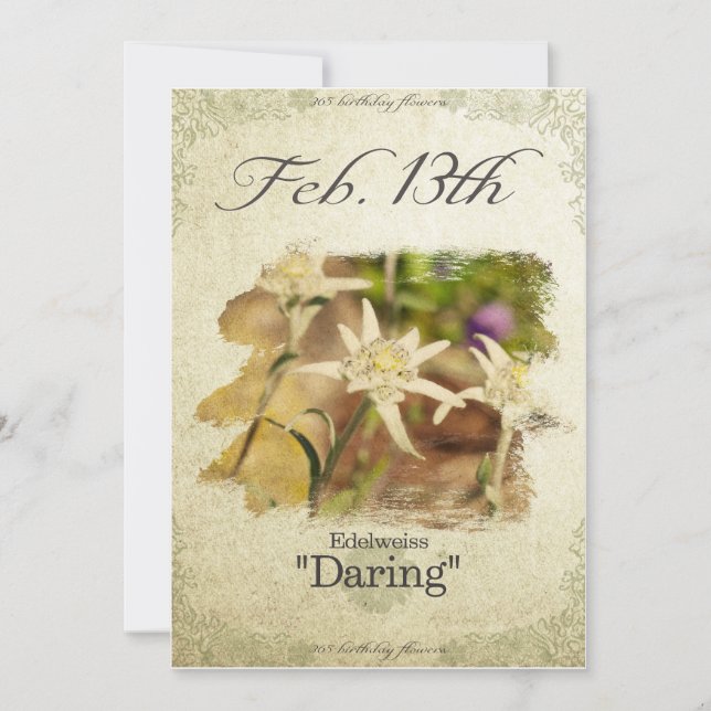 Carte Fleurs d'anniversaire le Février 13 "Edelweiss" (Devant)