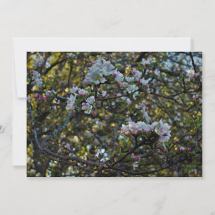Carte Fleurs d'Apple