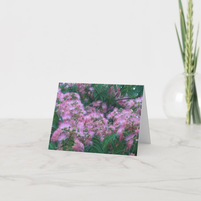 Carte FLEURS D'ARBRE DE SOIE par SHARON SHARPE (Devant)