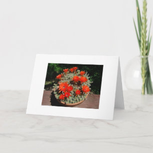 Carte Fleurs de cactus de Firery