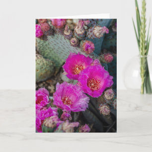 Carte Fleurs de cactus Fuchsia vives  Printemps du déser
