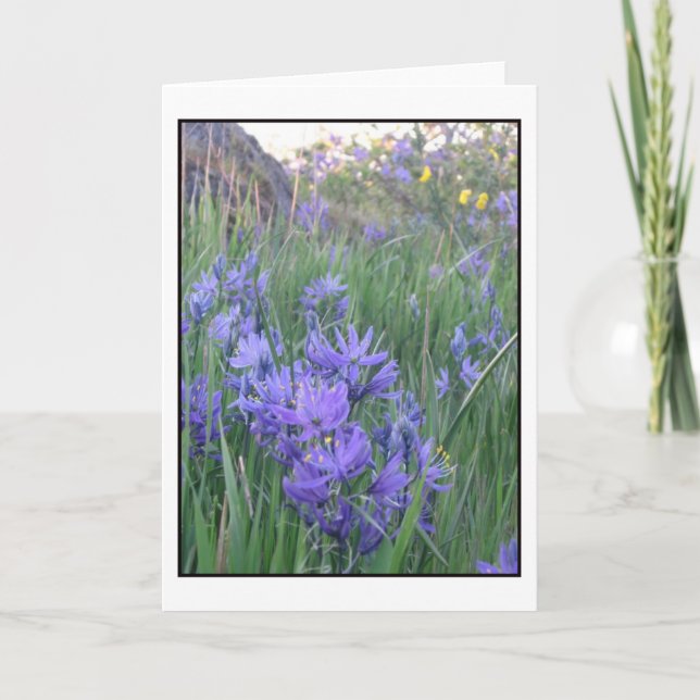 Carte Fleurs de Camas (Devant)