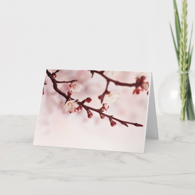 Carte Fleurs de cerisier (Devant)