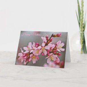 Carte Fleurs de cerisier japonaises roses sur un ciel gr