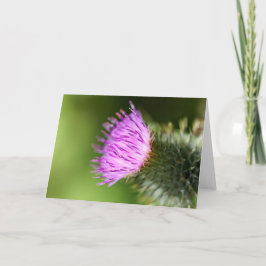 Carte Fleurs de cerisiers roses doubles au printemps de 