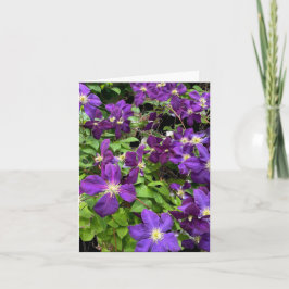 Carte Fleurs De Clematis Violet Et Photographie Feuille