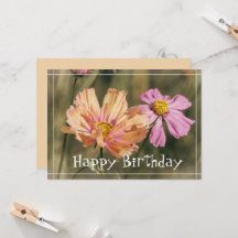 Fleurs de Cosmea d'été rétro pour anniversaire