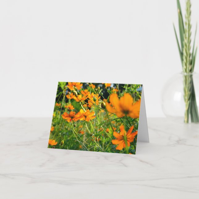 Carte Fleurs de Cosmos orange (Devant)