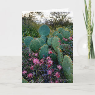 Carte Fleurs de duster rose et cactus de poires