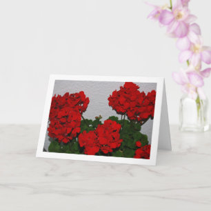 Carte Fleurs de géranium rouge, Portrait floral